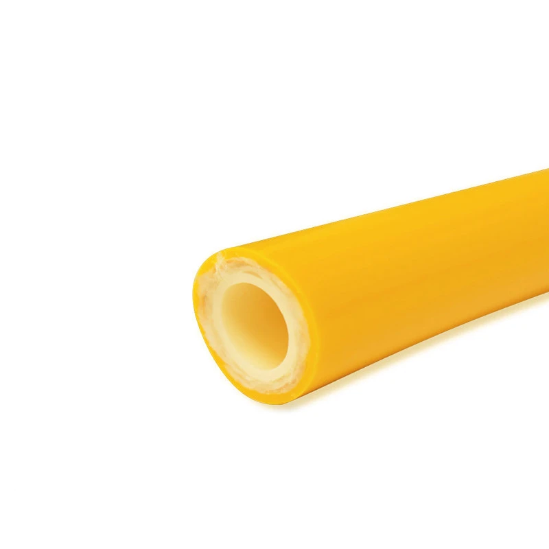 product-800-800